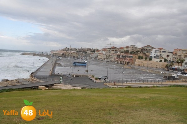 yaffa rain 1211 (18).JPG